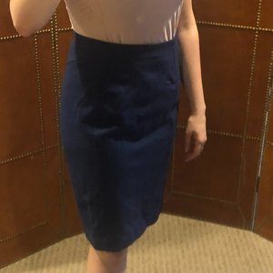 Navy Blue fitted skirt